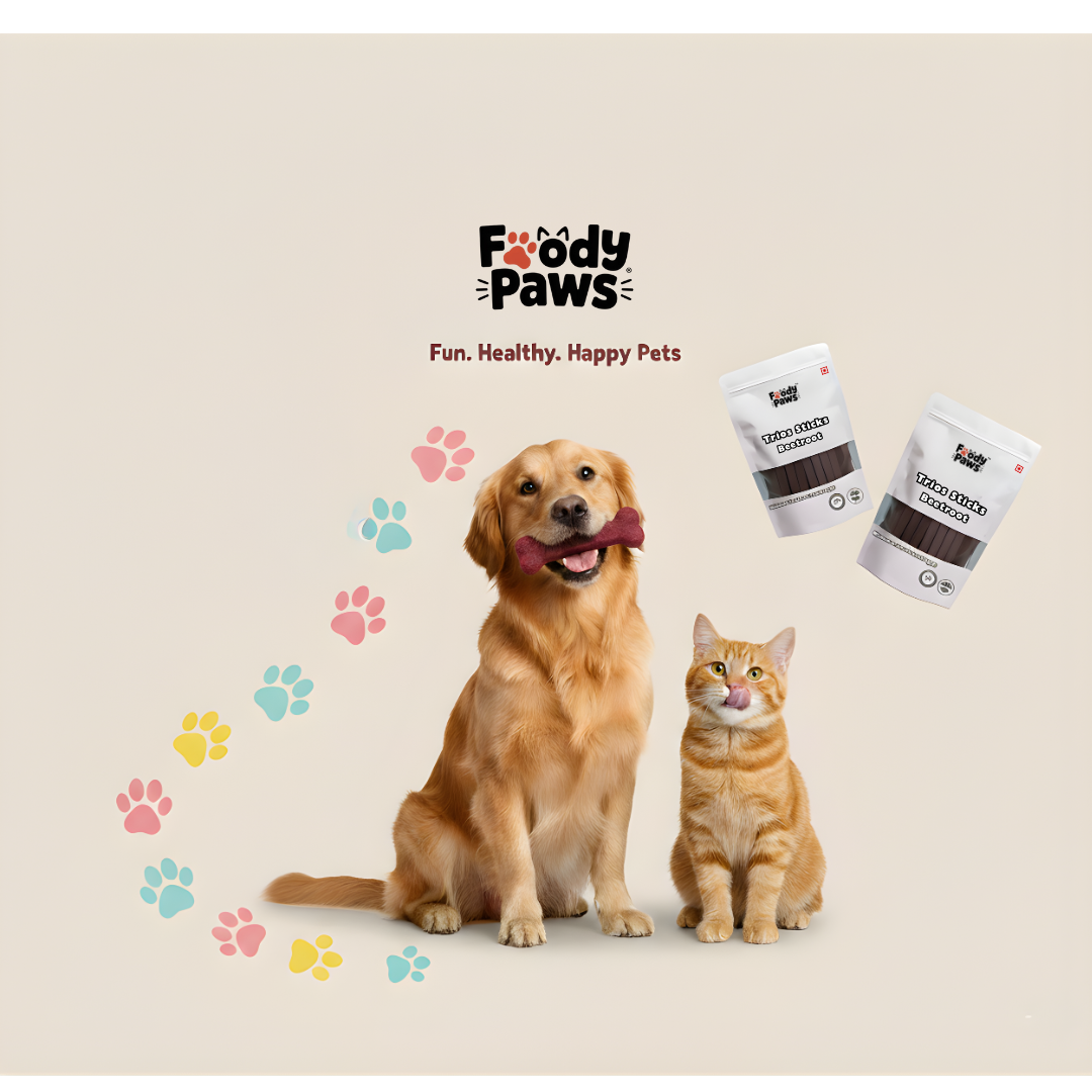 Foody Paws Dental Sticks┃Beetroot Flavour